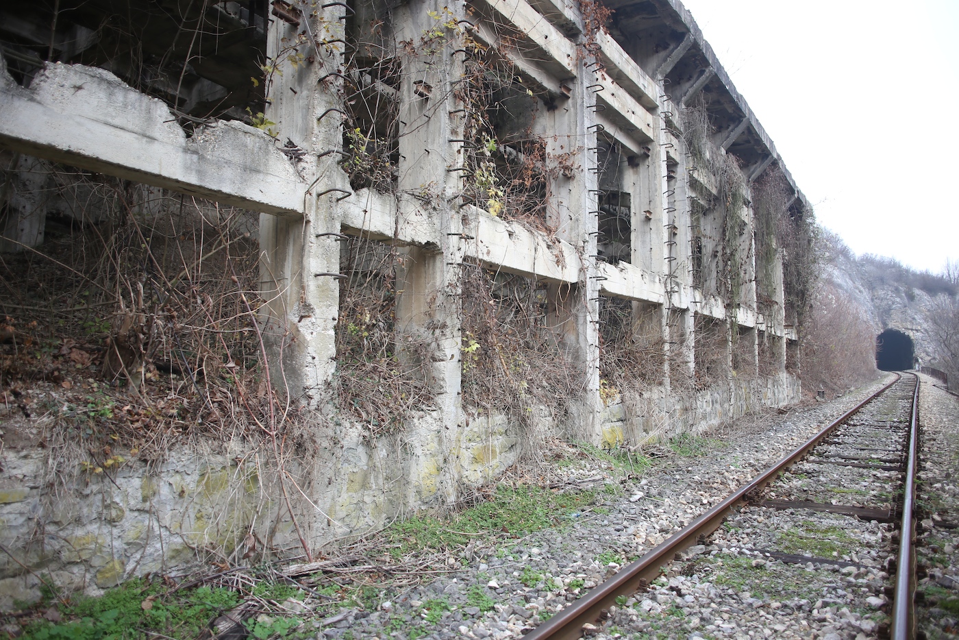 Lovech_camp.jpg