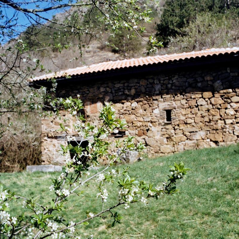 Kalotina