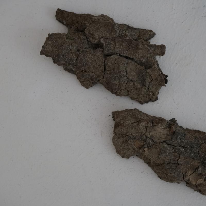 Balkan_mine_003.jpg