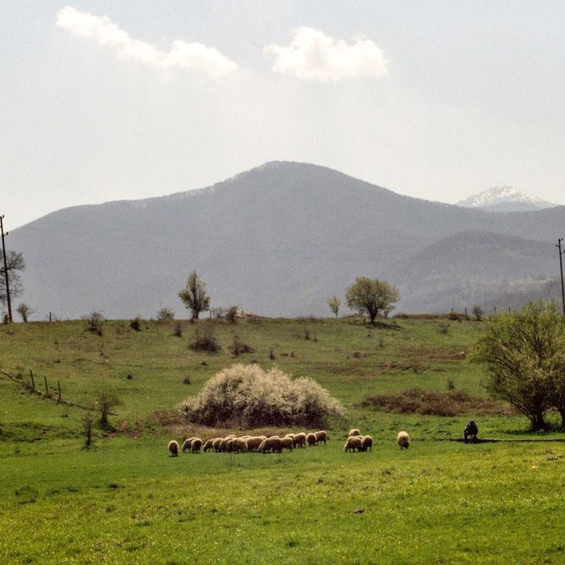 Bulgaria_NW_003.jpg