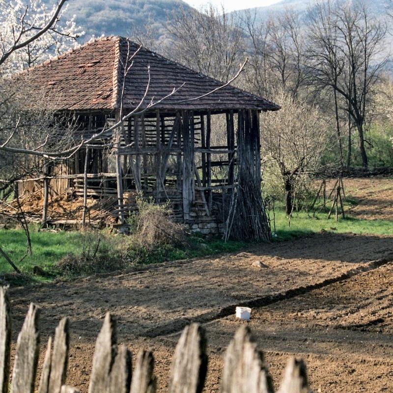 Bulgaria_NW_003.jpg