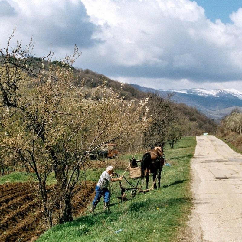 Bulgaria_NW_003.jpg