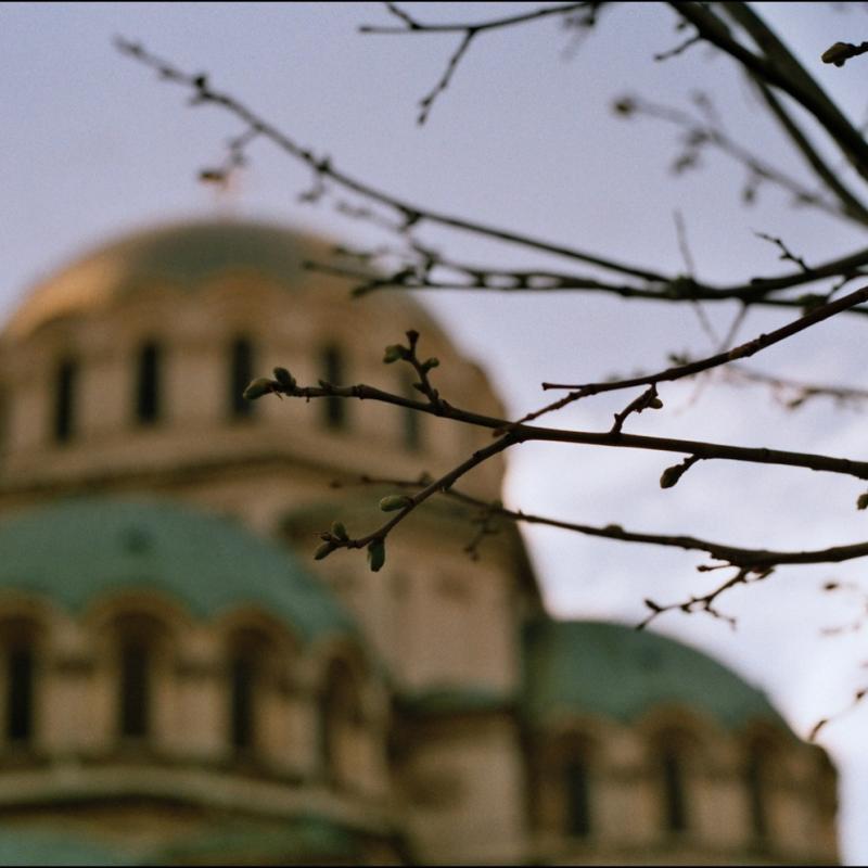 Sofia_So_Fear_001.jpg