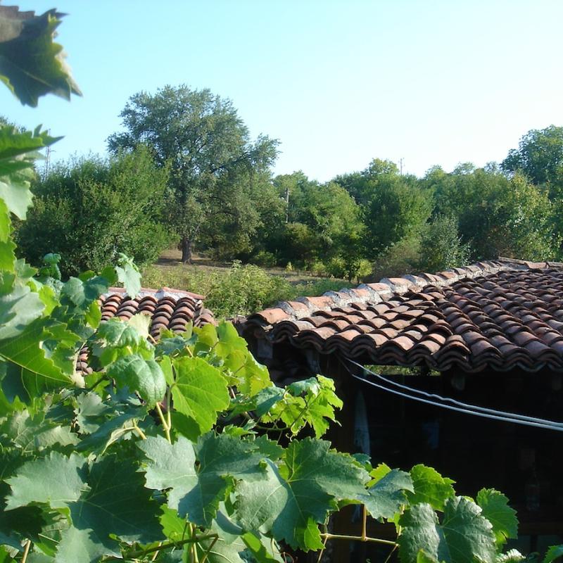 Strandja_001.jpg
