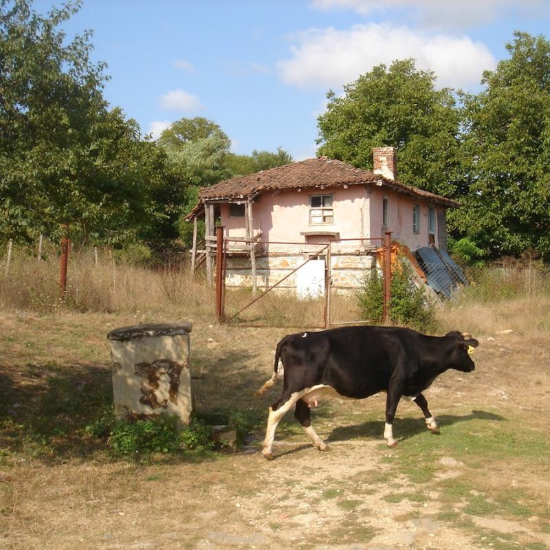 Strandja_001.jpg