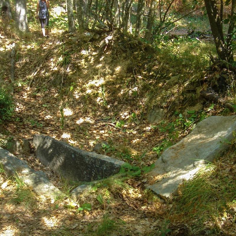 Strandja_001.jpg