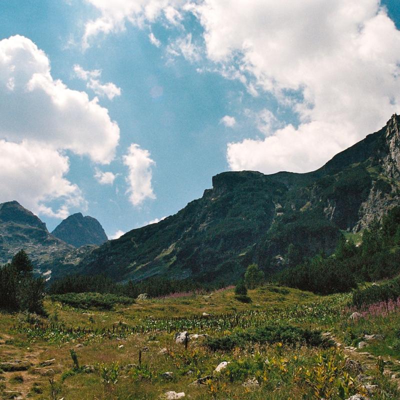 BG_wonder_026.jpg